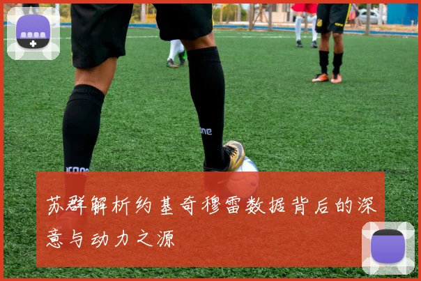 苏群解析约基奇穆雷数据背后的深意与动力之源